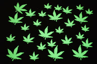 Thumbnail for 50 Piece Glow in the Dark Multicolor Marijuana Pot Leafs Wall Ceiling Decor (Open Stock)