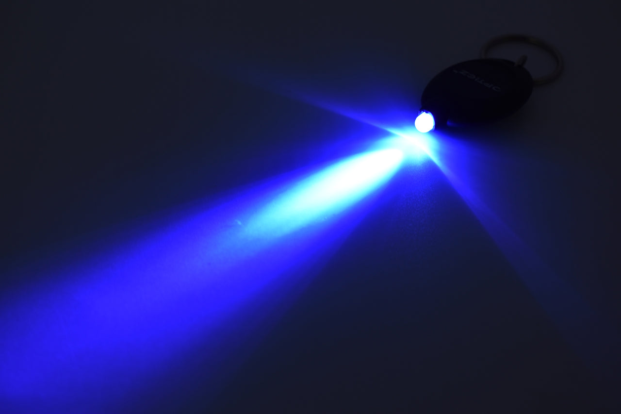 Oval UV Torch LED Keychain Flashlight UltraViolet Blacklight