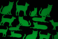 Thumbnail for 24 Piece Glow in the Dark Cats Wall and Ceiling Decor