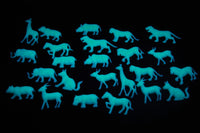 Thumbnail for 24 Piece Glow in the Dark Safari Animals Wall Ceiling Decor