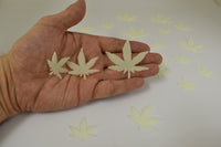 Thumbnail for 50 Piece Glow in the Dark Multicolor Marijuana Pot Leafs Wall Ceiling Decor