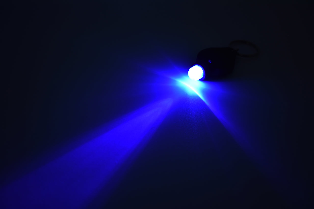 XL UV Torch LED Keychain Flashlight UltraViolet Blacklight